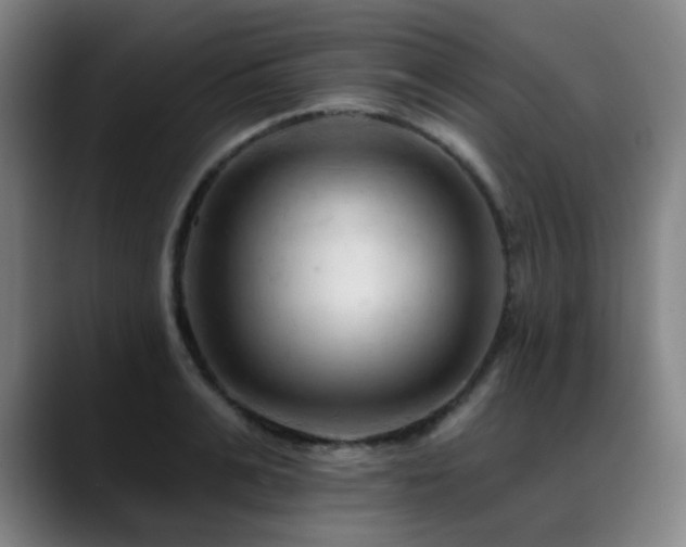 X0000089380991200706151201
