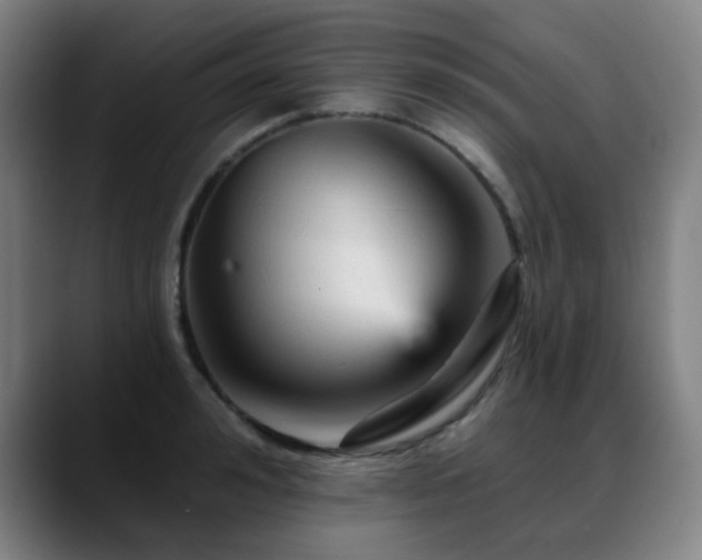 X0000089380992200706151201