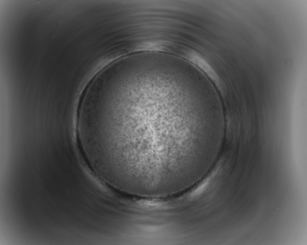 X0000089380994200706151201
