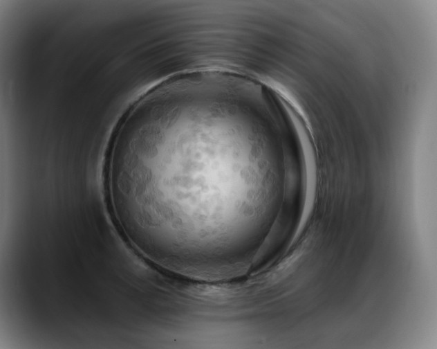 X0000089380995200706151201