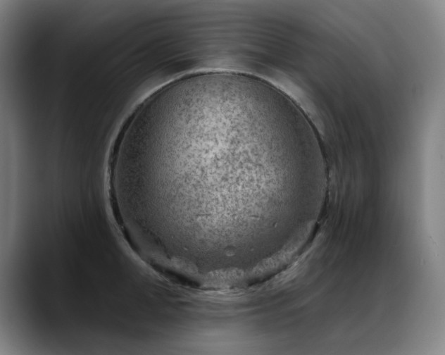 X0000089380998200706151201