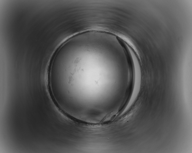X0000089380999200706151201
