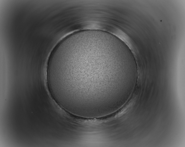 X0000089381000200706151201