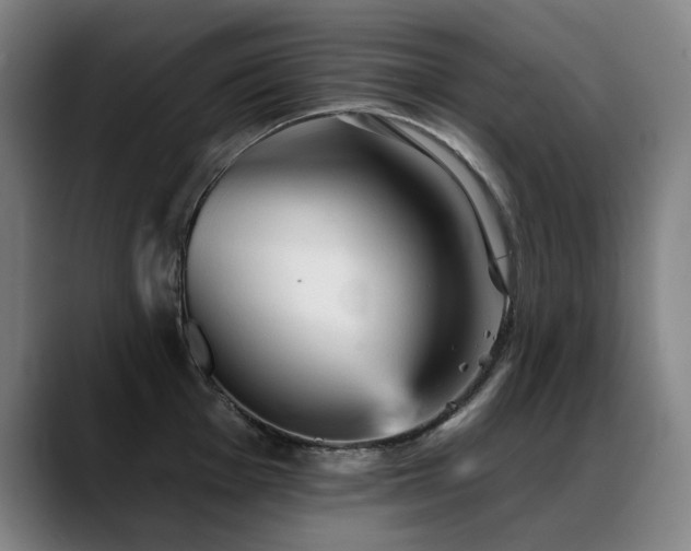 X0000089381001200706151201