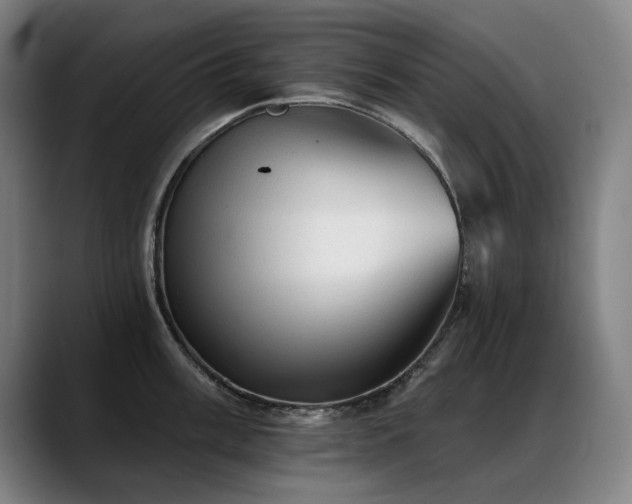 X0000089381003200706151201
