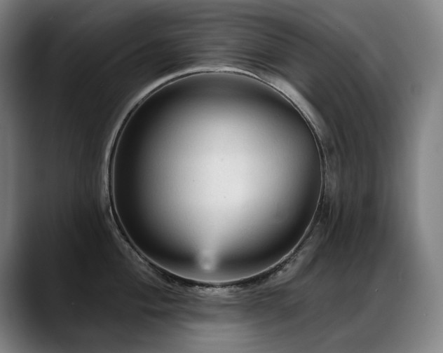 X0000089381004200706151201