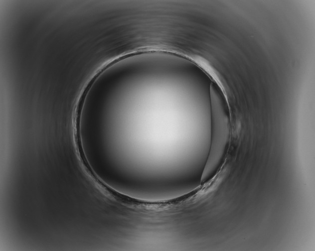 X0000089381005200706151201