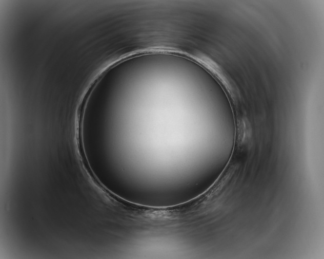 X0000089381006200706151201