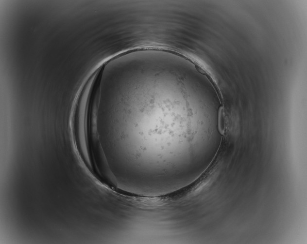 X0000089381007200706151201