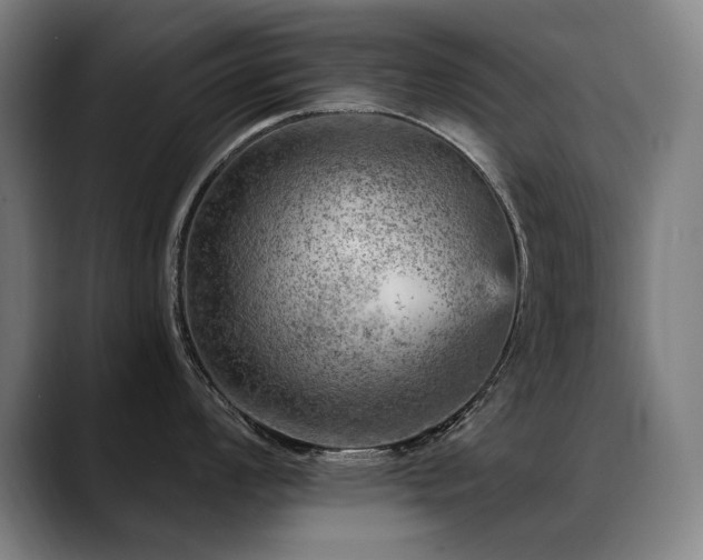 X0000089381008200706151201