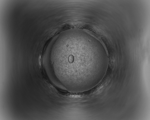 X0000089381010200706151200