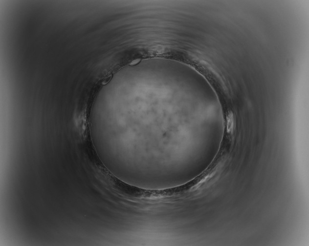 X0000089381011200706151200