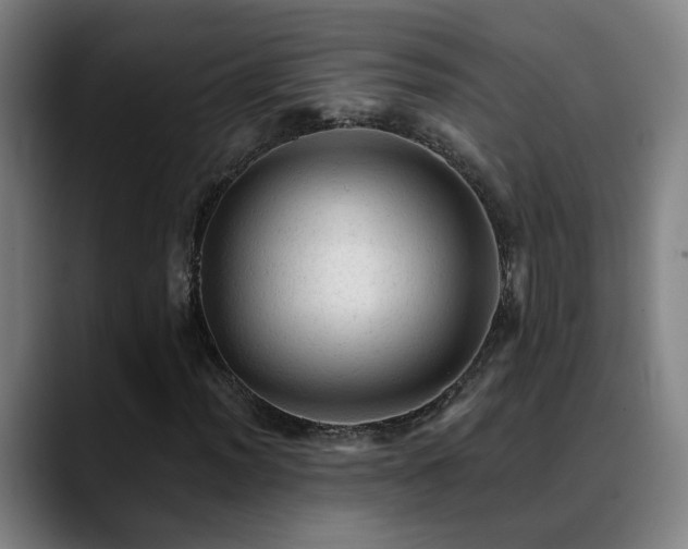 X0000089381012200706151200