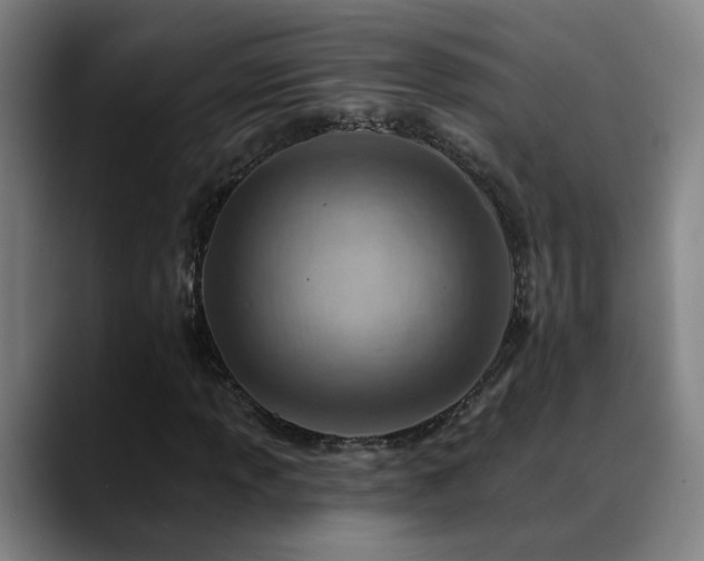 X0000089381013200706151200