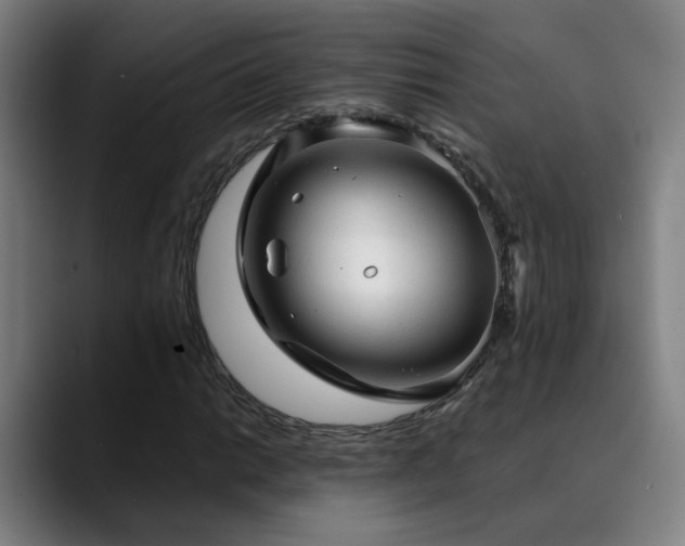 X0000089381014200706151200