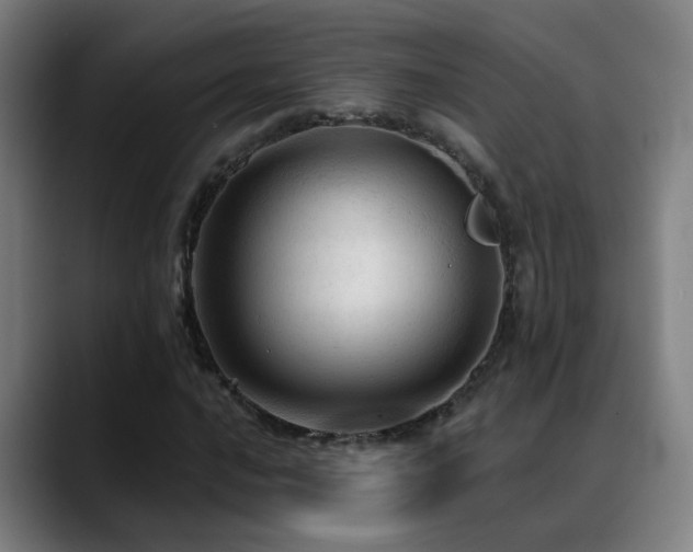 X0000089381016200706151200