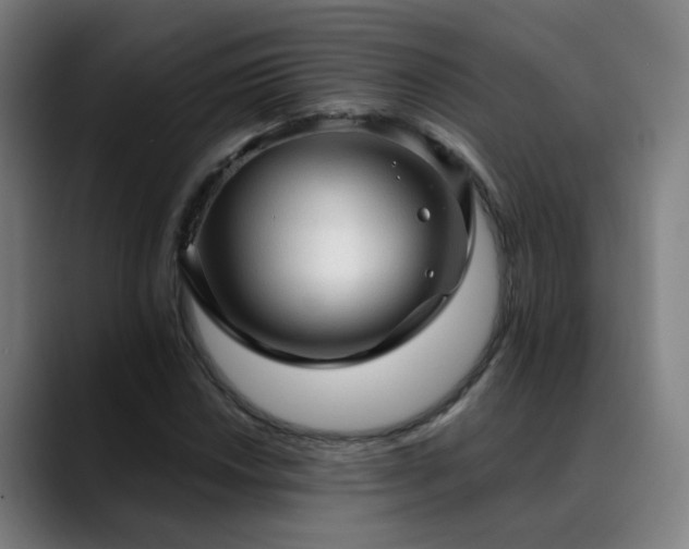 X0000089381018200706151200