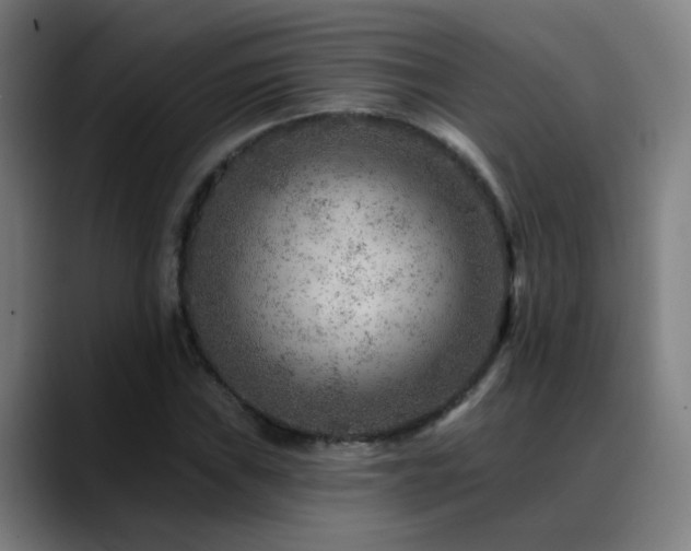 X0000089381019200706151200