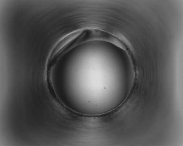 X0000089381020200706151200