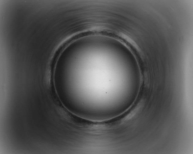 X0000089381021200706151200