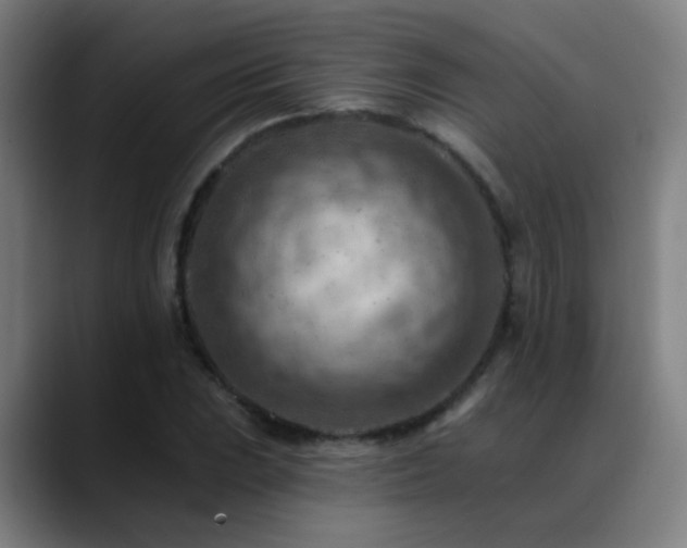 X0000089381023200706151200