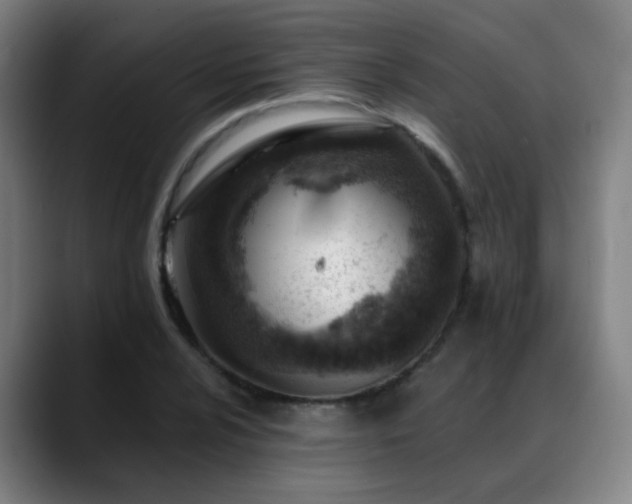 X0000089381024200706151200