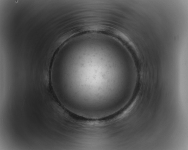 X0000089381025200706151200
