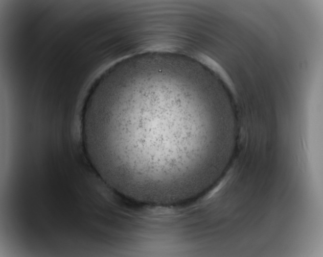 X0000089381027200706151200