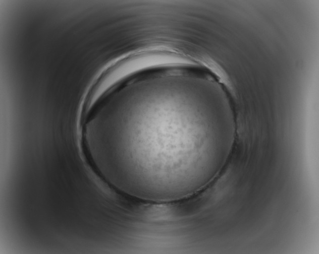 X0000089381028200706151200