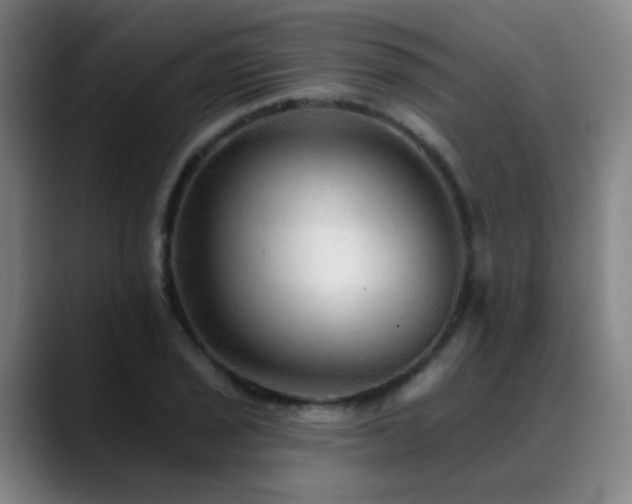 X0000089381029200706151200