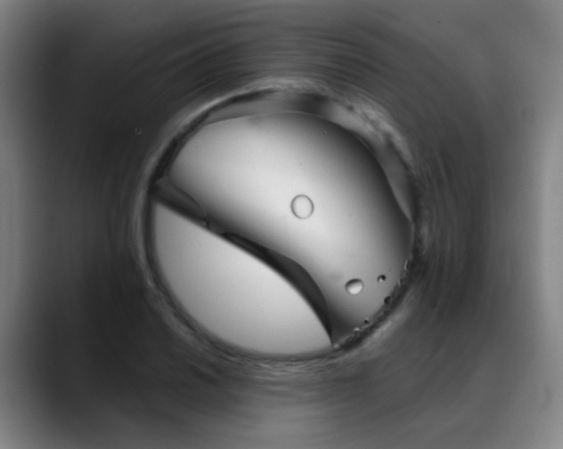 X0000089381030200706151200