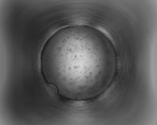 X0000089381031200706151200