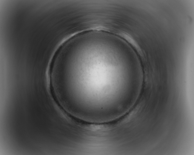 X0000089381032200706151200