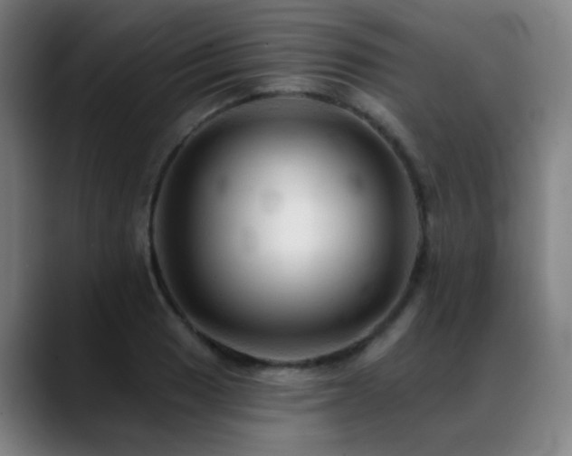 X0000089381033200706151200