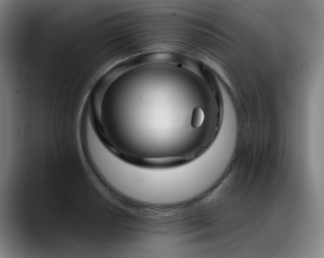 X0000089381034200706151200
