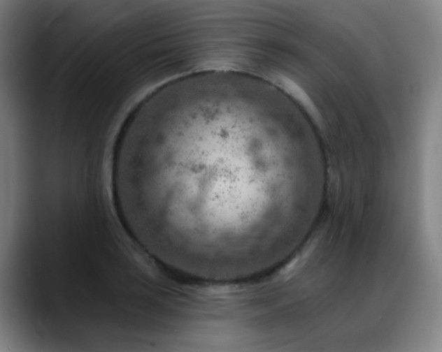 X0000089381035200706151200