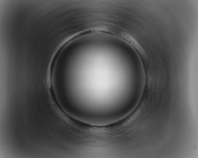 X0000089381036200706151200