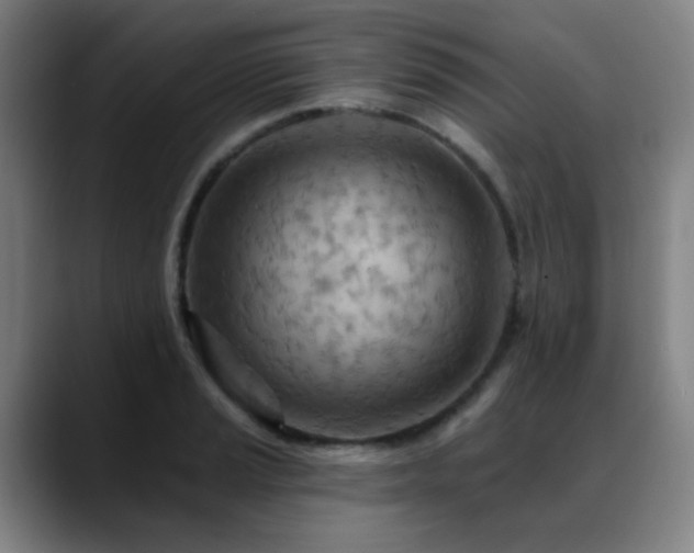 X0000089381037200706151200
