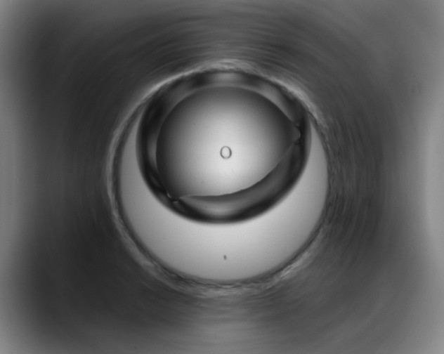 X0000089381038200706151200