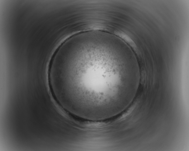 X0000089381039200706151200