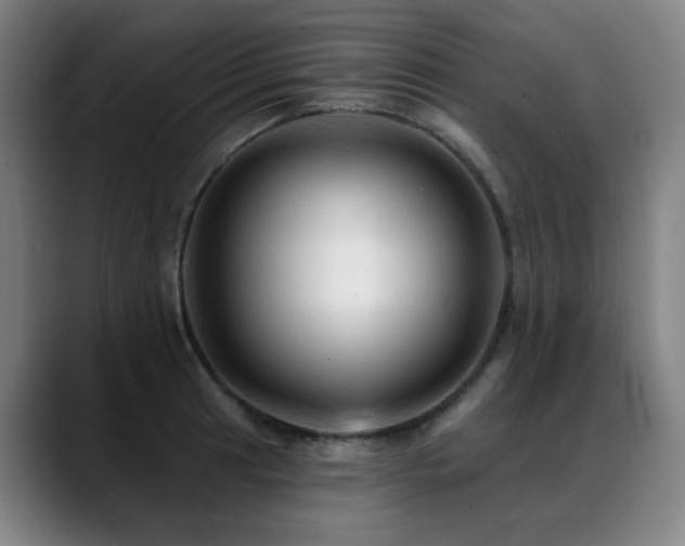 X0000089381041200706151200