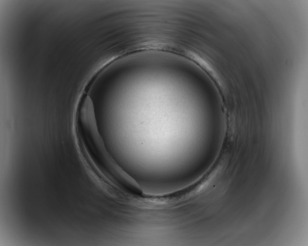 X0000089381042200706151200