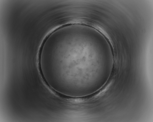 X0000089381045200706151200