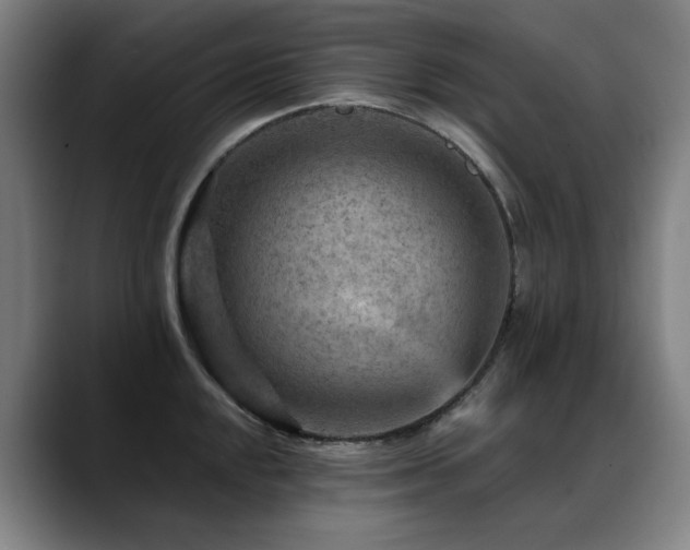 X0000089381048200706151200