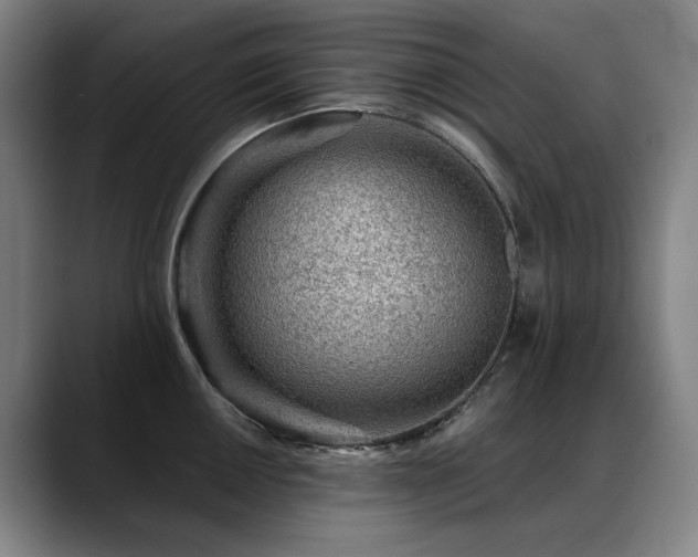 X0000089381050200706151200
