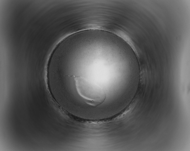X0000089381051200706151201