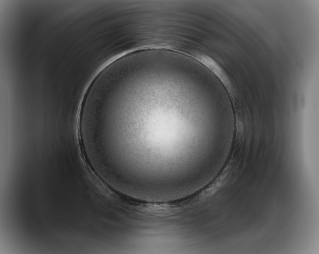 X0000089381052200706151201