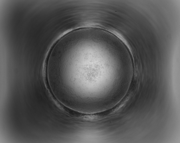 X0000089381053200706151201