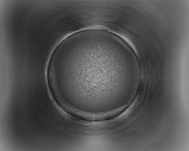 X0000089381054200706151201