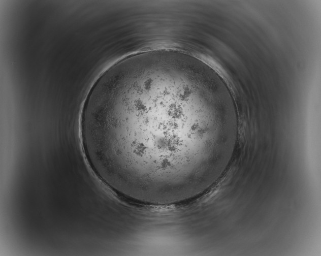 X0000089381055200706151201